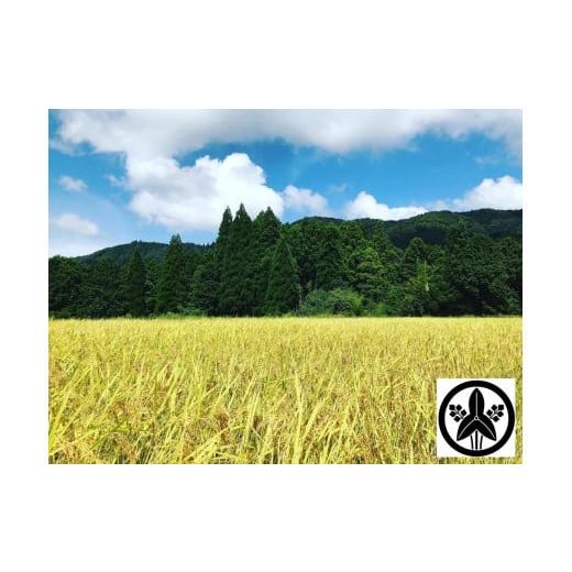 ふるさと納税 米 京都府 綾部市 令和7年産 新米 コシヒカリ 5kg 白米 京都 綾部 奥京都 米 コシヒカリ こしひかり お米 5キロ 精米 白米 こめ 米 農家直送