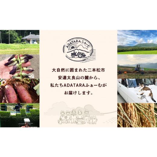 ふるさと納税 野菜類 サツマイモ 福島県 二本松市 かつみじいや入魂「まるでスイーツ」な濃蜜焼き芋《 冷凍 2kg 》 焼き芋 焼き芋 さつまいも スイーツ 野菜 …の画像
