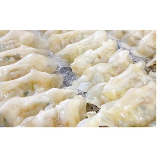 ふるさと納税 惣菜・レトルト 冷凍 和歌山県 田辺市  3カ月定期便 大西の餃子2種セット(にんにく餃子・梅餃子)　25個入り×各1パック ／ 和歌山県 田辺市 ぎょ…_4