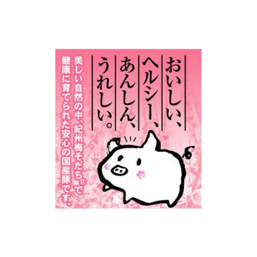 ふるさと納税 惣菜・レトルト 冷凍 和歌山県 田辺市  3カ月定期便 大西の餃子2種セット(にんにく餃子・梅餃子)　25個入り×各1パック ／ 和歌山県 田辺市 ぎょ…_6