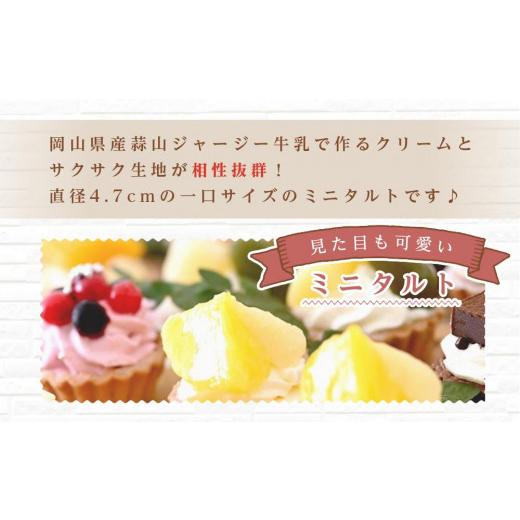 ふるさと納税 ケーキ・カステラ タルト 岡山県 岡山市 定期便 5ヶ月 フレッシュ タルト 専門店 STYLE 岡山みに たると 厳選 5種 20個入 お菓子 ケーキ タルト …_2