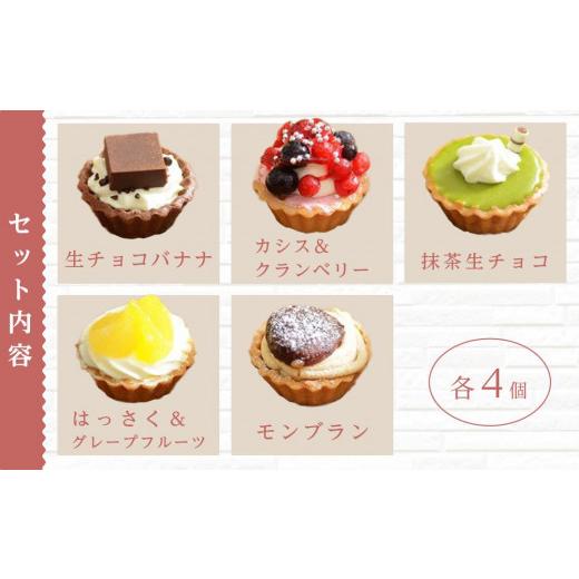 ふるさと納税 ケーキ・カステラ タルト 岡山県 岡山市 定期便 5ヶ月 フレッシュ タルト 専門店 STYLE 岡山みに たると 厳選 5種 20個入 お菓子 ケーキ タルト …_3