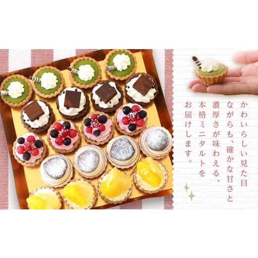 ふるさと納税 ケーキ・カステラ タルト 岡山県 岡山市 定期便 5ヶ月 フレッシュ タルト 専門店 STYLE 岡山みに たると 厳選 5種 20個入 お菓子 ケーキ タルト …_5