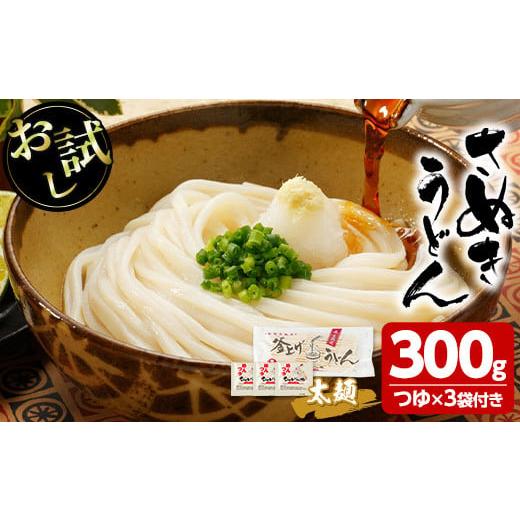 ふるさと納税 香川県 まんのう町 [お試し]半生うどん (300g/極太・つゆ付) お試し 讃岐うどん 本場 うどん 本場 讃岐 さぬき 香川県 麺 コシ 常温 常温保存…