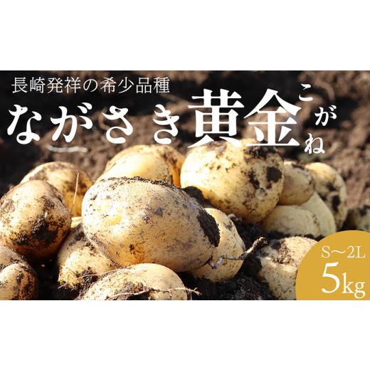 ふるさと納税 野菜類 じゃがいも 長崎県 島原市 BH048 じゃがいも 希少品種 ながさき黄金 S〜2Lサイズ混合 約5kg 野菜 芋 ジャガイモ 5キロ ほくほく 先行予約…