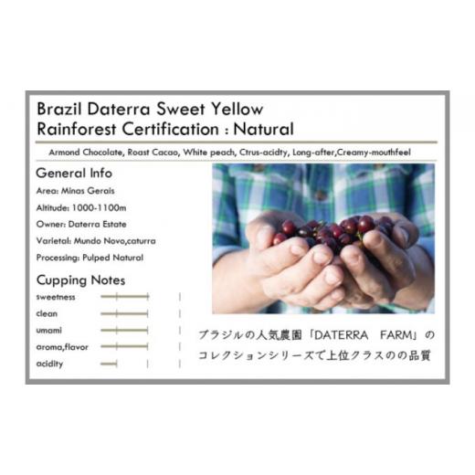 【新品 未使用 日本製】 ふるさと納税 神奈川県 横須賀市 スペシャルティ コーヒー豆 自家焙煎 中煎り ブラジル 200g×4 定期便6ヶ月【サードウェーブ ギフト プレゼント お中元 お歳… 【1992783260】(70200円)