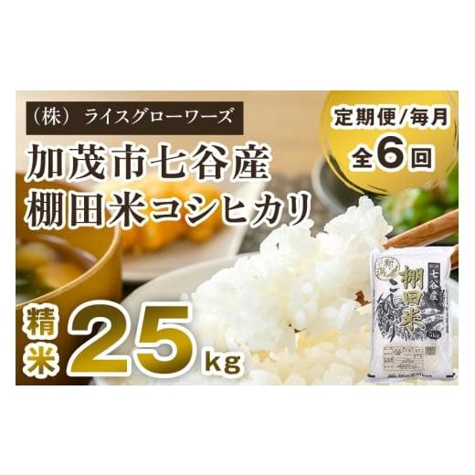 ふるさと納税 米 コシヒカリ 新潟県 加茂市 令和7年産 定期便6ヶ月毎月お届け 七谷産 棚田米コシヒカリ 精米 25kg(5kg×5)[順次出荷]白米 新潟県 加茂市…