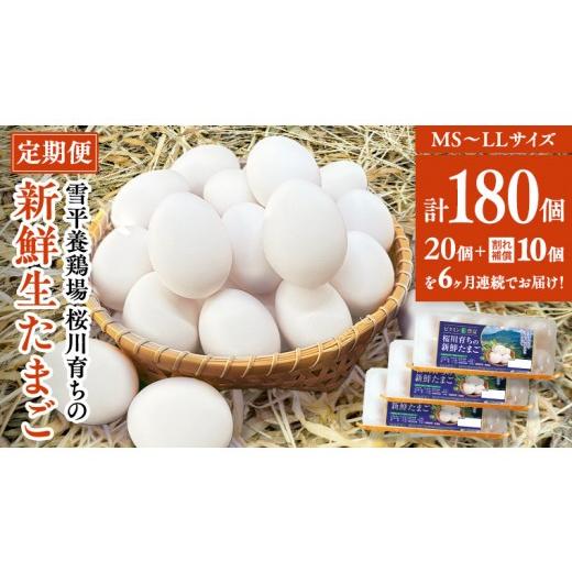 ふるさと納税 卵(鶏、烏骨鶏等) 茨城県 桜川市 6ヵ月定期便 雪平養鶏場 桜川育ちの 新鮮 たまご 合計180個 (20個+10個割れ補償付)×6回 数量限定 卵 定期…