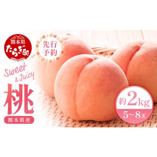 ふるさと納税 もも 熊本県 多良木町 先行予約 桃 (5〜8玉) 約 2kg 「厳選した桃をお届けします 」 2026年6月下旬〜順次発送[ 桃 もも ピーチ 熊本県 球磨 産…