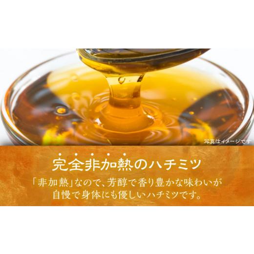 ふるさと納税 加工品等 はちみつ 福岡県 豊前市 日本ミツバチの蜂蜜(ギフトセット150g×2本)《豊前市》 日本ミツバチことえ工房 蜂蜜 はちみつ ハチミツ VCM00…の画像