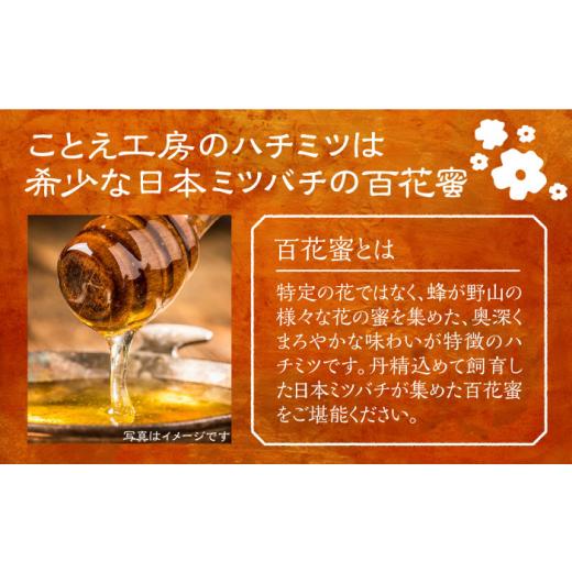 ふるさと納税 加工品等 はちみつ 福岡県 豊前市 日本ミツバチの蜂蜜(ギフトセット150g×2本)《豊前市》 日本ミツバチことえ工房 蜂蜜 はちみつ ハチミツ VCM00…の画像