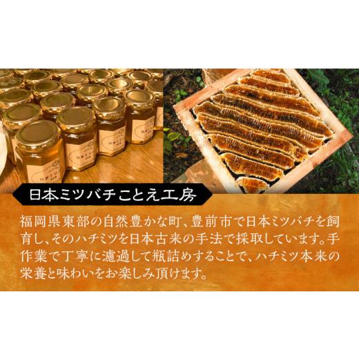 ふるさと納税 加工品等 はちみつ 福岡県 豊前市 日本ミツバチの蜂蜜(ギフトセット150g×2本)《豊前市》 日本ミツバチことえ工房 蜂蜜 はちみつ ハチミツ VCM00…の画像