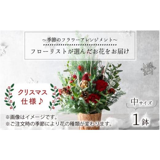 ふるさと納税 福井県 坂井市 【先行予約】クリスマスギフト フラワーアレンジメント 生花 【2024年11月20日以降順次発送予定】 【 アレンジメント 花束 フラワ…｜furusatochoice｜02