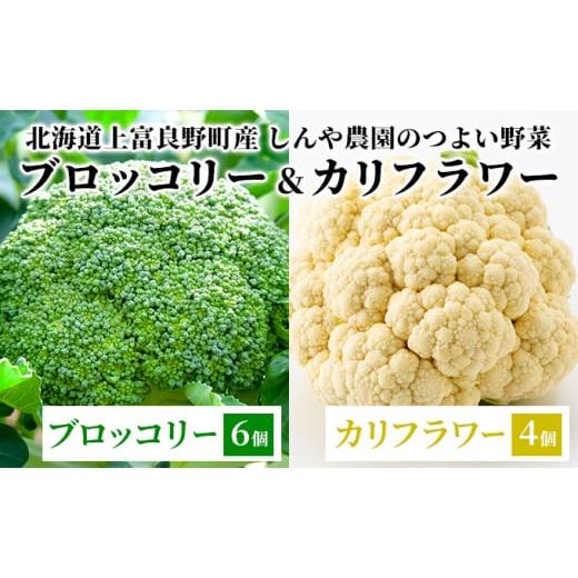 ふるさと納税 野菜類 北海道 上富良野町 令和8年産 しんや農園のつよい野菜「ブロッコリー6個&amp;カリフラワー4個」 北海道産 北海道の野菜 国産野菜 栄養素…