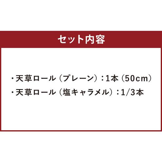 ふるさと納税 熊本県 上天草市 天草ロール（プレーン・塩キャラメル）ロールケーキ ケーキ 長さ50cm！｜furusatochoice｜03