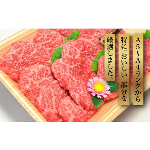 ふるさと納税 鶏肉 福岡県 築上町 化粧箱入 A5〜A4ランク 博多和牛 厳選セット（計1150g）焼肉たれ・塩胡椒付《築上町》 株式会社マル五 ABCJ028 64000 64000…_2