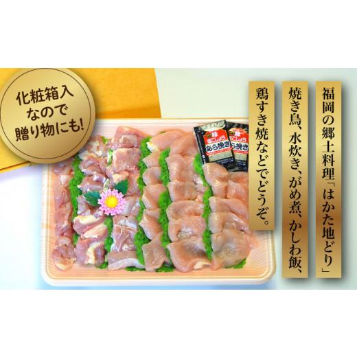 ふるさと納税 鶏肉 ムネ 福岡県 築上町  全6回定期便 化粧箱入 はかた地どり モモ・ムネ肉 合計500g 塩胡椒付焼き鳥 焼き肉 すき焼き用《築上町》 株式会社マ…の画像