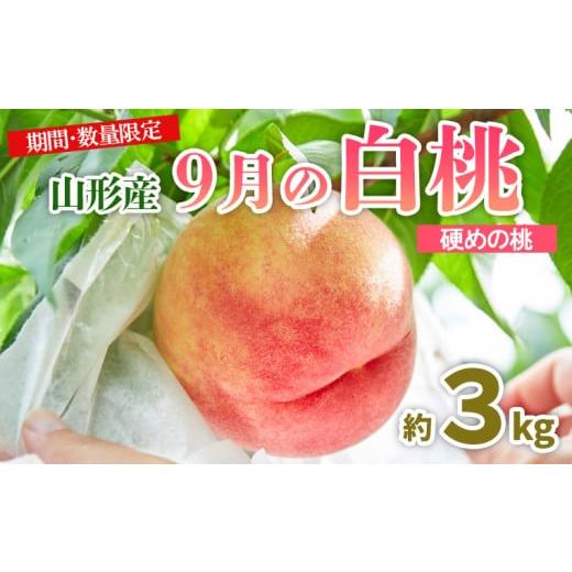 ふるさと納税 もも 山形県 山形市 山形9月の白桃 硬めの桃 秀品 約3kg 令和8年産先行予約 FU23-583 くだもの 果物 フルーツ 山形 山形県 山形市 2026年産