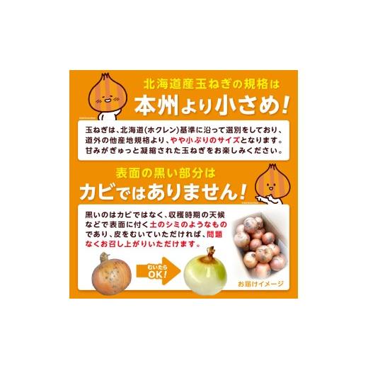 ふるさと納税 野菜類 玉ねぎ 北海道 北見市  2026年9月中お届け 日本一の生産地 北海道北見市の玉ねぎ 20kg スープ2本付き ( 玉ねぎ 玉葱 たまねぎ タマネギ …の画像