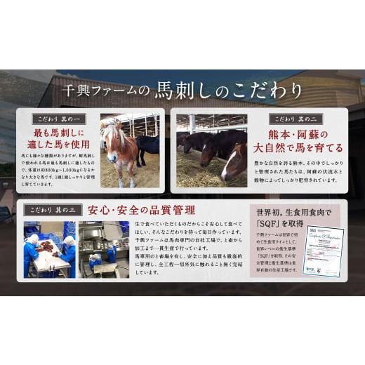 ふるさと納税 馬肉 熊本県 高森町  2ヶ月毎4回定期便 鮮馬刺し 赤身ユッケ 計約2000g（約500g×4回）_6