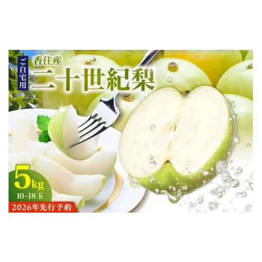 ふるさと納税 梨 兵庫県 香美町 2026年産 先行予約 20世紀梨 ご自宅用 優品(Bランク)5kg サイズ L〜5L混合(10〜18玉) 令和8年8月下旬以降発送予定 梨 二…