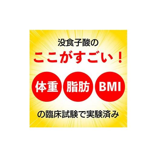 ふるさと納税 お茶類 静岡県 牧之原市 定期便5か月 国産プーアール茶　SARYU-SOSO（5g×30ティーバッグ）×5回　 機能性表示食品_4