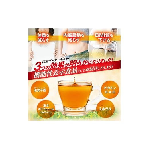 ふるさと納税 お茶類 静岡県 牧之原市 048-11000　 定期便6か月 国産プーアール茶　SARYU-SOSO（5g×10ティーバッグ）×6回　 機能性表示食品_2