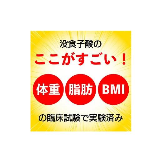 ふるさと納税 お茶類 静岡県 牧之原市 048-11000　 定期便6か月 国産プーアール茶　SARYU-SOSO（5g×10ティーバッグ）×6回　 機能性表示食品_4