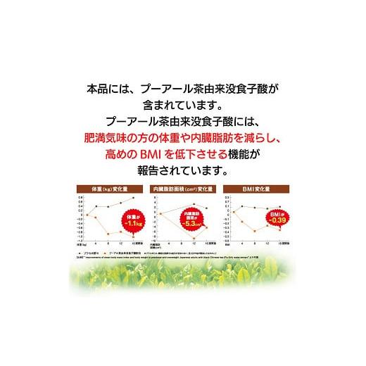 ふるさと納税 お茶類 静岡県 牧之原市 048-11000　 定期便6か月 国産プーアール茶　SARYU-SOSO（5g×10ティーバッグ）×6回　 機能性表示食品_5