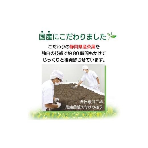 ふるさと納税 お茶類 静岡県 牧之原市 048-11000　 定期便6か月 国産プーアール茶　SARYU-SOSO（5g×10ティーバッグ）×6回　 機能性表示食品_6