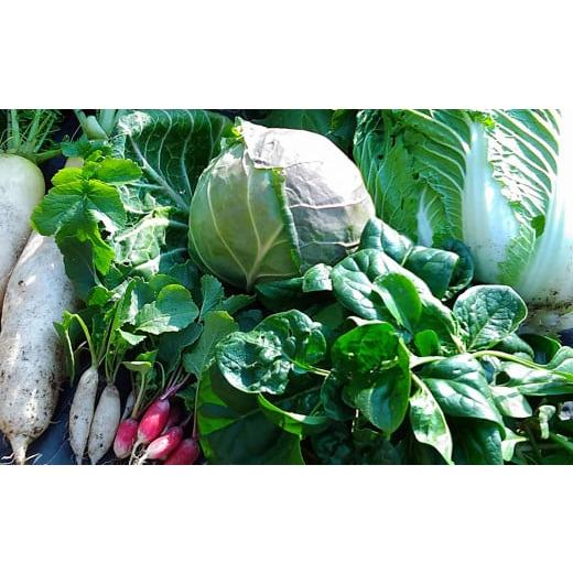 ふるさと納税 セット・詰合せ 奈良県 五條市  定期便3回 生命の農法（無化学農薬・無化学肥料栽培）季節の野菜セット | ヤサイ 野菜 やさい 詰め合わせ 奈良県&hellip;