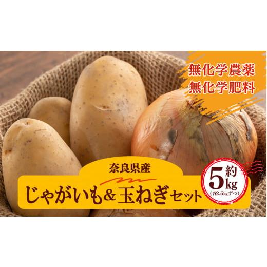 ふるさと納税 野菜類 玉ねぎ 奈良県 五條市 生命の農法( 無化学農薬 ・ 無化学肥料栽培 ) じゃがいも ( 2.5kg )& 玉ねぎ ( 2.5kg ) 計 5kg | ヤサイ 野…