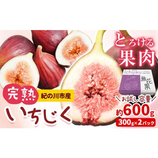 ふるさと納税 果物類 和歌山県 紀の川市 お試し小容量 完熟いちじく 約600g (300g × 2パック) お試し パック いちじく イチジク 無花果 JAわかやま 紀の里地…