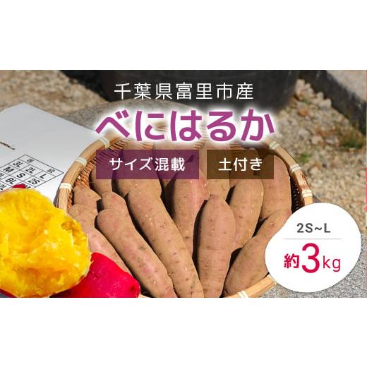 ふるさと納税 千葉県 富里市 [2024年11月以降発送]千葉県富里市産 べにはるか 3kg サイズ混載 土付き