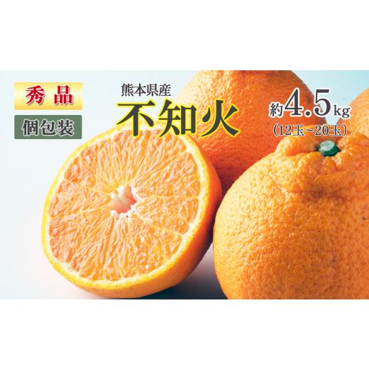 ふるさと納税 みかん・柑橘類 デコポン 熊本県 玉名市 熊本県産 不知火 秀品 約 4.5kg(12玉〜20玉) | フルーツ 果物 くだもの 柑橘 ミカン みかん 熊本県 玉…