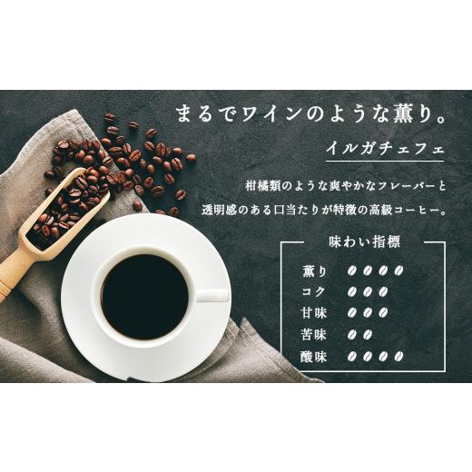 ふるさと納税 コーヒー コーヒー豆 北海道 中頓別町  定期便12ヶ月 コーヒー イルガチェフェ（豆） 300g 自家焙煎珈琲 シングル ギフト ヤマフクコーヒー 北…の画像