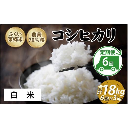 ふるさと納税 福井県 福井市 【定期便6ヶ月連続】令和5年産 ふくい東郷米 特別栽培米 農薬70％減 コシヒカリ 3kg×6ヶ月 合計18kg【白米】[D-020010_01] 白米｜furusatochoice｜02