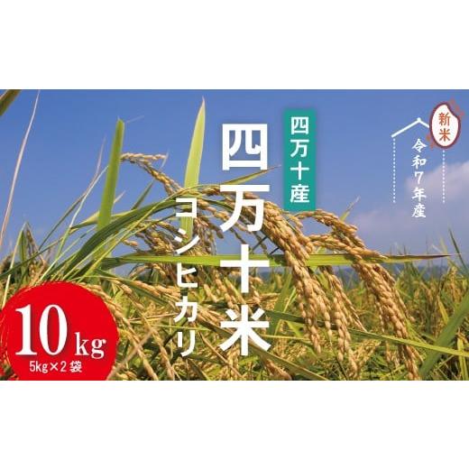 ふるさと納税 米 コシヒカリ 高知県 四万十市 令和7年産 四万十産 四万十米 コシヒカリ 10kg(5kg×2袋) 国産 こしひかり 5kg 令和7年 2025年 精米 白米 米 …