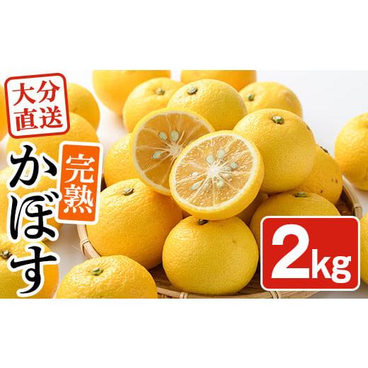 ふるさと納税 みかん・柑橘類 大分県 宇佐市 先行予約受付中 2025年11月中旬より順次発送予定 完熟かぼす(約2kg)かんきつ 柑橘 期間限定 おもとの丘 11130030…