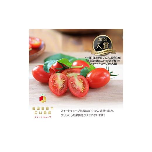 ふるさと納税 トマト ミニトマト 岐阜県 坂祝町 高糖度 プレミアムミニトマト スイートキューブ 1kg 2026年1月頃〜6月発送予定 さかほぎ農場 岐阜県 坂祝町 さ…_2