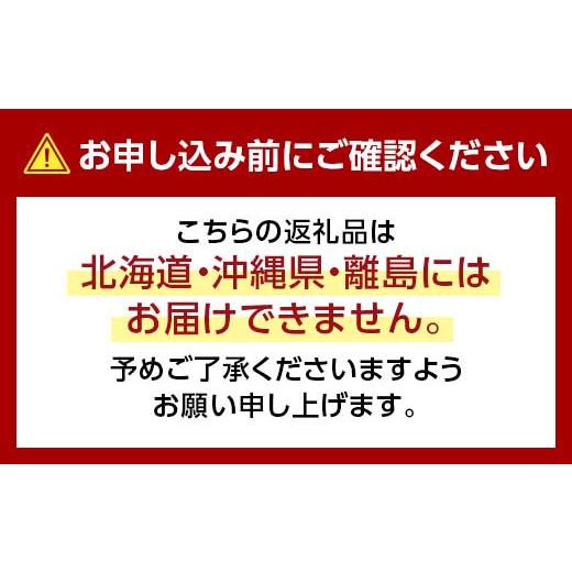 ふるさと納税 トマト ミニトマト 岐阜県 坂祝町 高糖度 プレミアムミニトマト スイートキューブ 1kg 2026年1月頃〜6月発送予定 さかほぎ農場 岐阜県 坂祝町 さ…_5