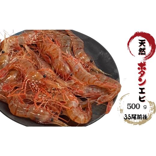 ふるさと納税 エビ ぼたんエビ 北海道 増毛町 8-007-005 天然ボタンエビ 500g(35尾前後)