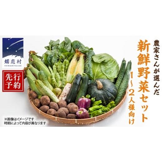 ふるさと納税 セット・詰合せ 群馬県 嬬恋村 2026年 8月上旬 発送開始 嬬恋キャベツ 入り 農家さんが選んだ 新鮮 高原 野菜 セット 4人様 ファミリー向け 先…