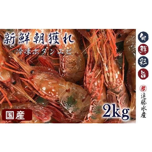 ふるさと納税 北海道 増毛町 6-055-001 国産ボタンエビ 2kg(500×4)