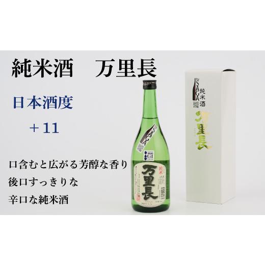 ふるさと納税 日本酒 純米酒 佐賀県 神埼市 TheSAGA認定酒 純米酒おまかせ2本 定期便6回 佐賀県産 佐賀認定酒 こだわり ギフト 贈答 プレゼント (H072187)の画像