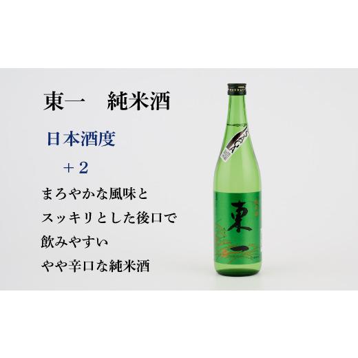 ふるさと納税 日本酒 純米酒 佐賀県 神埼市 TheSAGA認定酒 純米酒おまかせ2本 定期便6回 佐賀県産 佐賀認定酒 こだわり ギフト 贈答 プレゼント (H072187)の画像