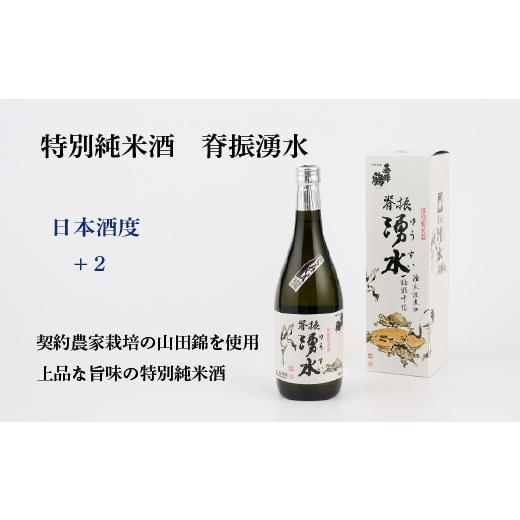 ふるさと納税 日本酒 純米酒 佐賀県 神埼市 TheSAGA認定酒 特別純米酒おまかせ5本セット 佐賀県産 佐賀認定酒 店主 こだわり ギフト 贈答 プレゼント (H072173…の画像