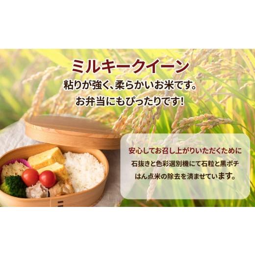 ミルキークイーン 粒 ふるさと納税 米 ミルキークイーン 茨城県 土浦市