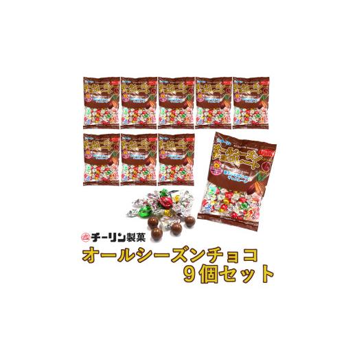 ふるさと納税 菓子 チョコレート 大阪府 八尾市 A299　80gオールシーズンチョコ　9個
