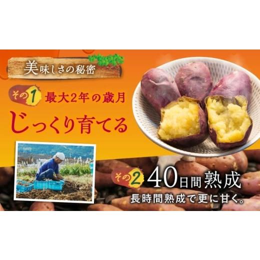 ふるさと納税 野菜類 サツマイモ 長崎県 五島市  3回定期便 焼き芋 ごとあかり（紅はるか）300g×6袋五島市／ごと PBY025 冷凍 焼き芋 レンジ さつまいも 紅は…_4